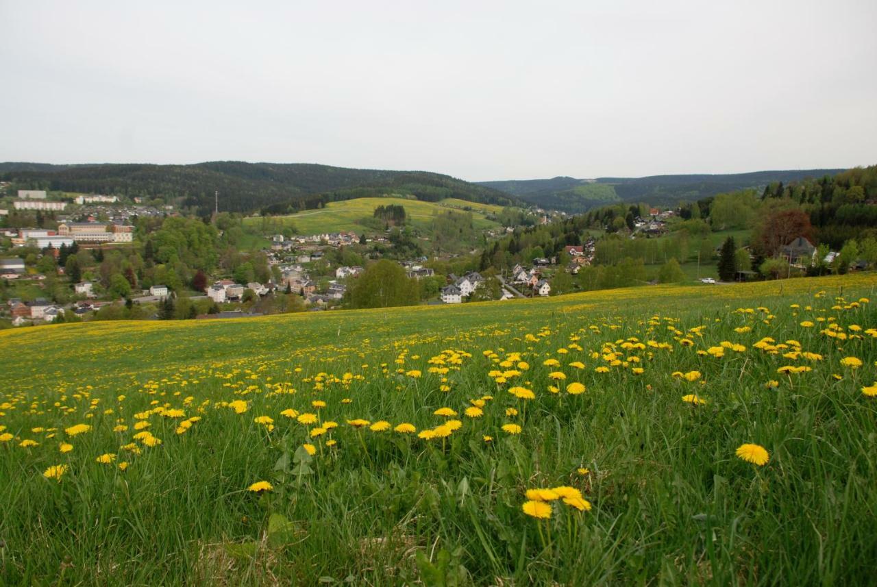 Ferienwohnung Koernerberg Клингенталь Экстерьер фото